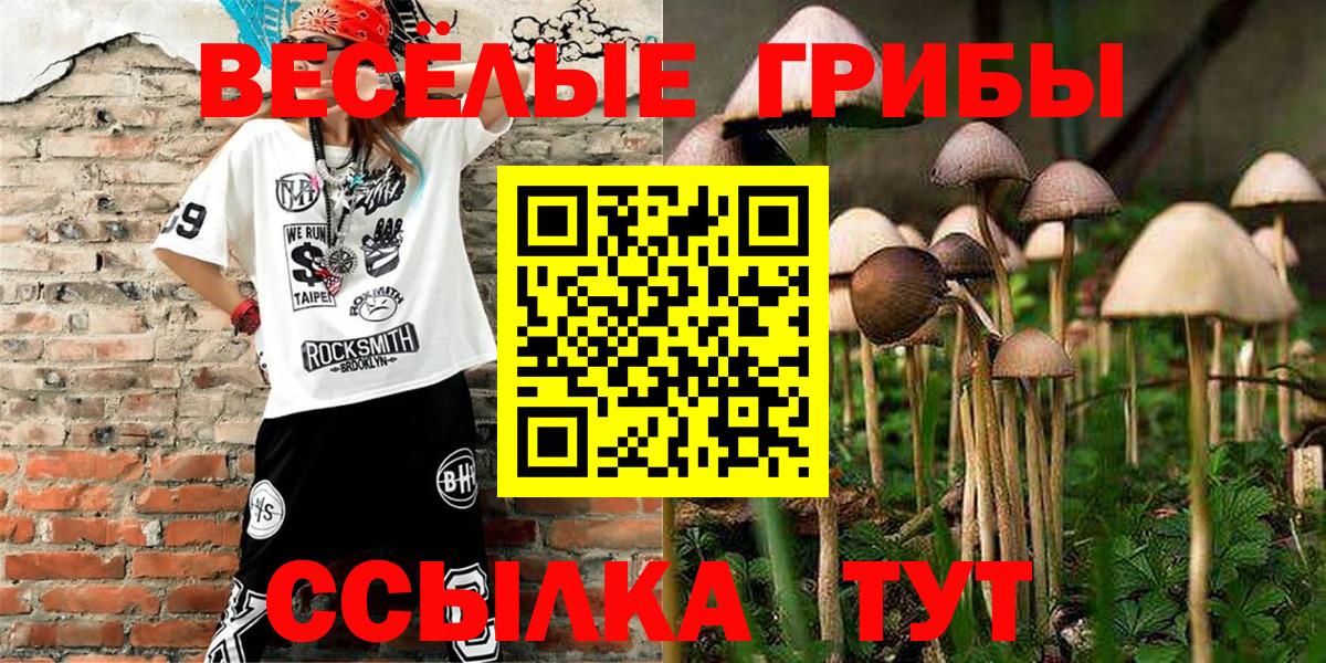 Псилоцибиновые грибы Magic Shrooms Мурманск