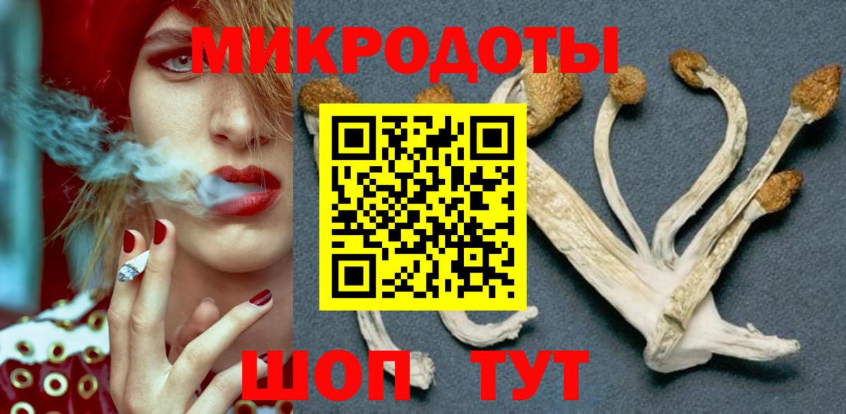Псилоцибиновые грибы GOLDEN TEACHER  Вход с VPN  Мурманск 